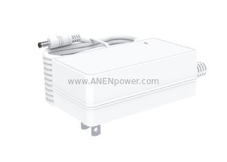 China 48W Max Japan Plug 12V 4A Switching Power Supply 24V 2A Wall Mount AC DC Adapter with PSE Certified supplier